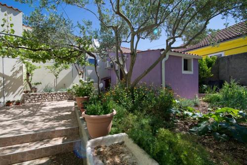 Veli Losinj Apartment | Darko
