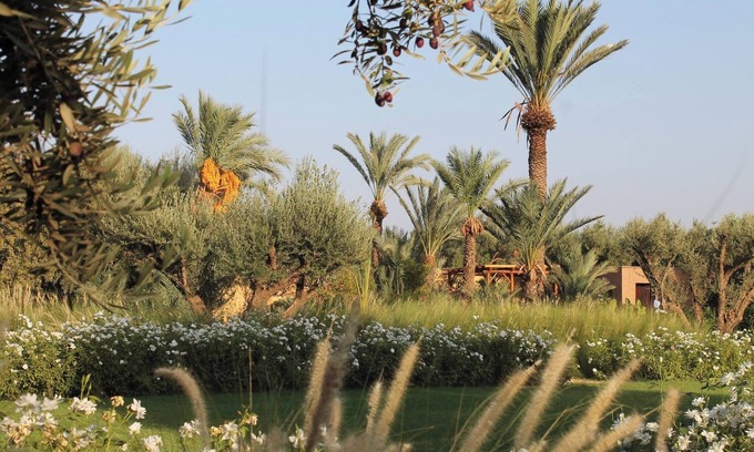 Menara House | DarToozween, chic and comfortable farmhouse in the Marrakech countryside