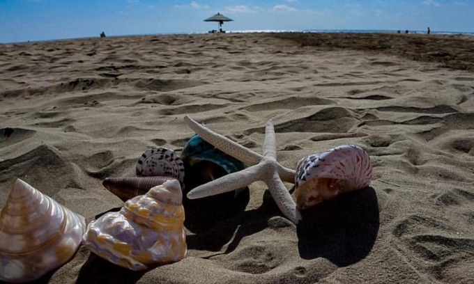 Acapulco Apartment | DEPA wifi DIAMANTE 15 min barra vieja