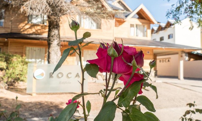 Lanin National Park Apartment | Departamento Roca I - ubicacion perfecta