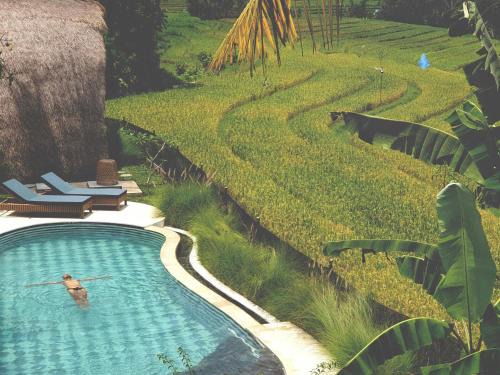 Selemadeg House | Dharma Oasis