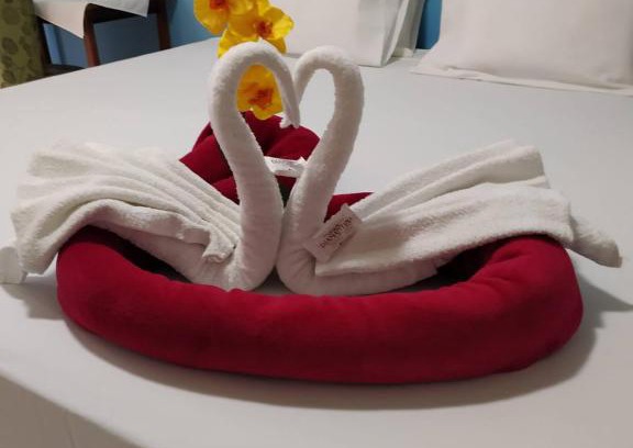 Morro Do Chapeu Hotel | Diamantina Palace Hotel