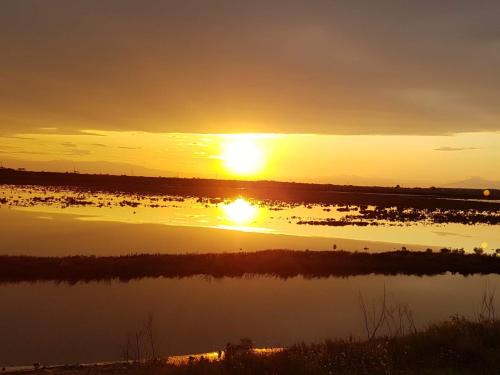 Delta Apartment | Dimitra's home