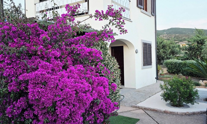 Badesi Villa | Dimora degli Ulivi sul Golfo dell'Asinara