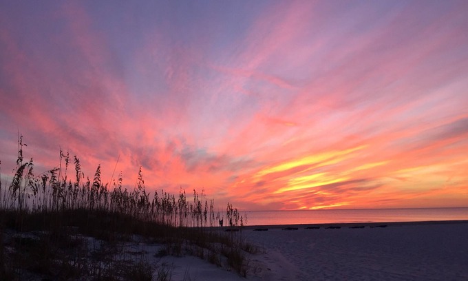 Madeira Beach Apartment | Directly on the Beach