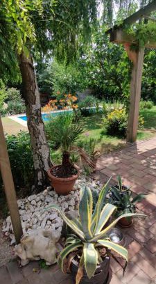 Tilburg House | Directors room Swimmingpool Ecolodge Tilburg