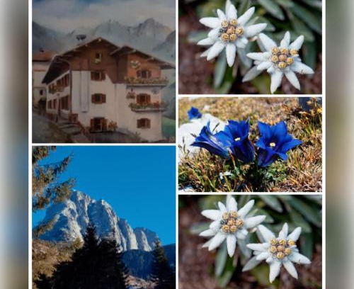 San Pietro di Cadore Apartment | DOLOMITI Ferienwohnung, Appartamento vacanze.