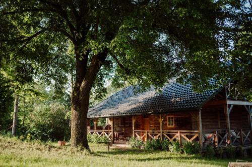 gmina Dynow House | Dom pod Lipami