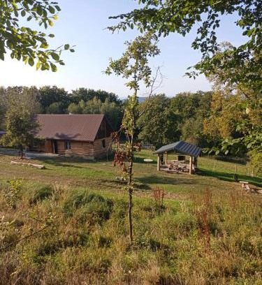 gmina Debowiec House | Dom Wypoczynkowy Cieklinka