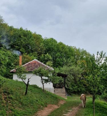 Central Serbia House | Domaćinstvo Ristović