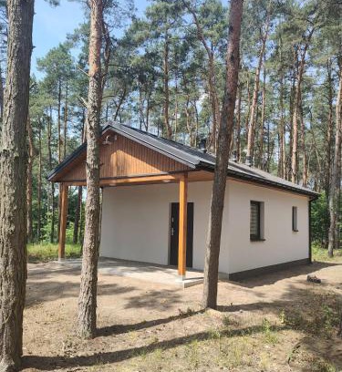 Skulsk House | Domki Tawerna Skulsk