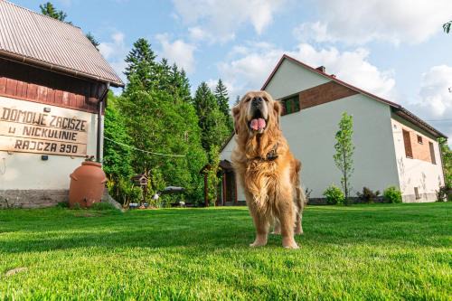 Rajcza House | Domowe Zacisze w Nickulinie