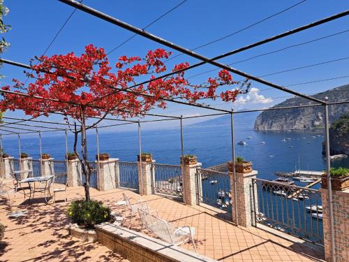 Sant'Agnello Bed & Breakfast | Domus San Vincenzo