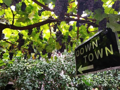 Kutaisi House | Downtown guest house
