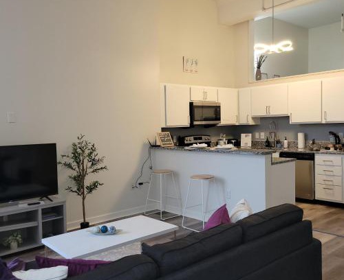 Mile Square Apartment | Downtown Indy Lucas Oil- Conv Center Skywalk#2