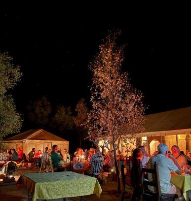 Hassilabied Other | Dream luxury camp
