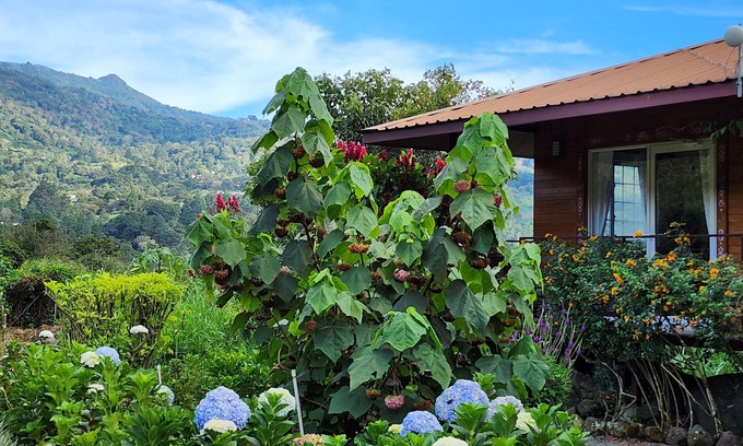 Los Naranjos Bed & Breakfast | Eco resort: Panama's largest butterfly exhibit, native bee and honey farm