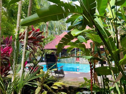 Portalon Bed & Breakfast | Eco Zaru, Experience Authentic Costa Rican Jungle & Ocean Bliss