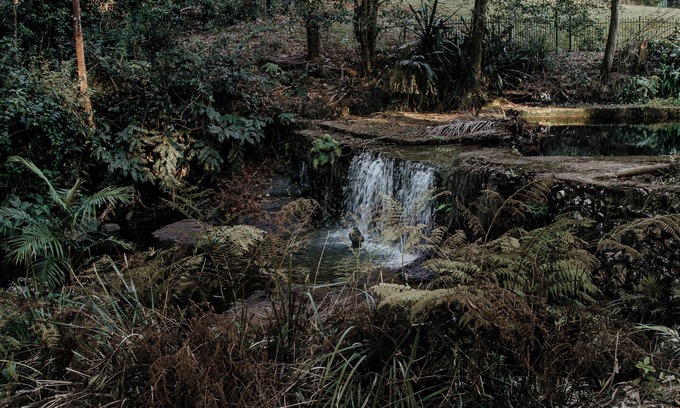 Mount Tamborine Villa | Edges by St Benards Hotel