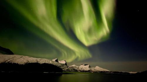 Ballangen House | Efjord and Stetind Resort - Cabin Kobbernestinden