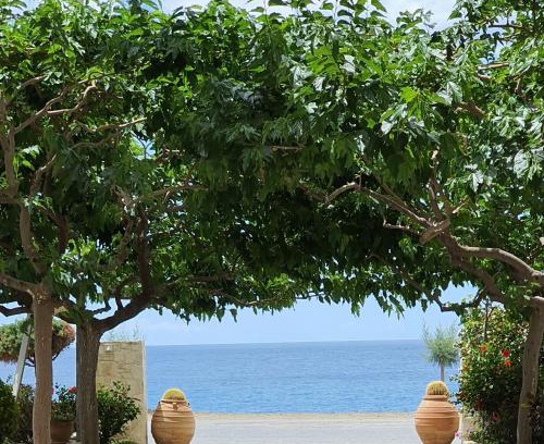 Myrtos Apartment | Eirini Apts On the beach