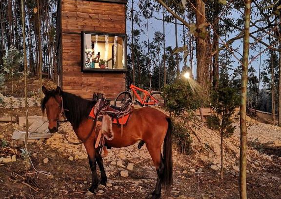 Paipa Other | El Bosque de Paipa