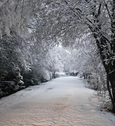 San Martin del Pimpollar House | El Cerrillo II