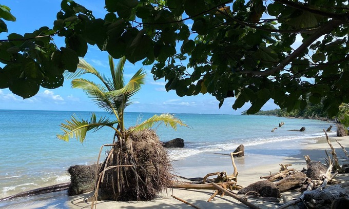 Cahuita Hotel | El Colibri Rojo Hotel Cabinas
