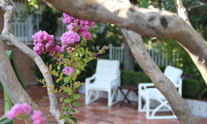 Barrio de la Vega House | El jardín de la abuela