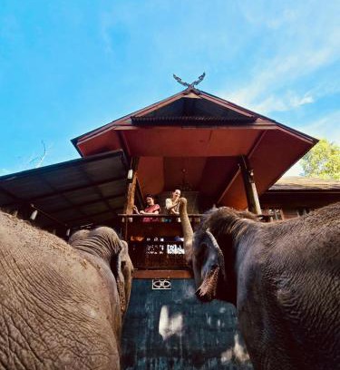 Mae Taeng House | Elephant view terrace chiang mai บ้านระเบียงชมช้าง