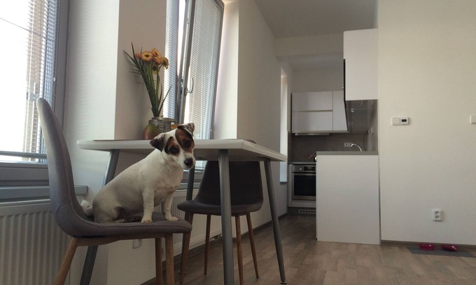 Kolin 2 Apartment | ELF, MODERN APARTMENT IN KOLIN, 5 min to center