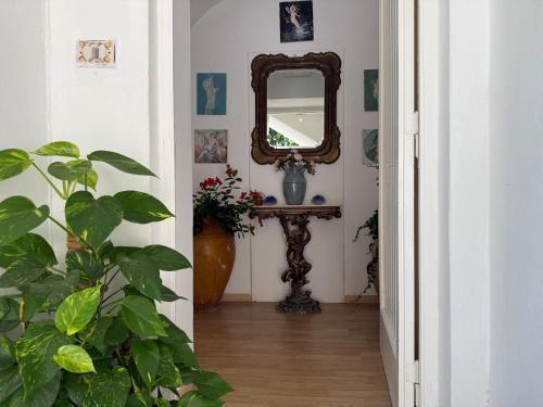 Marina Piccola Apartment | Eliza Art