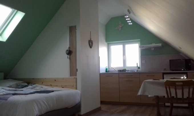 Ottmarsheim House | EMMA STUDIO (1/2 persons) 40min from Europapark, air-conditioned