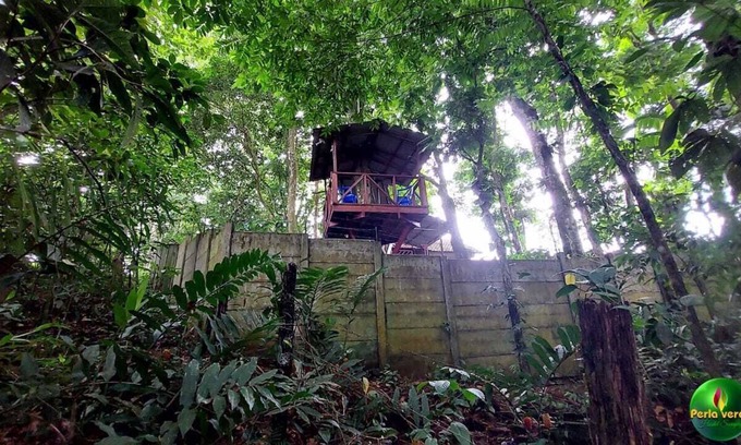 Heredia House | En Hostel Perla Verde, Sarapiquí te Sentirás Como en Casa en Medio del Bosque