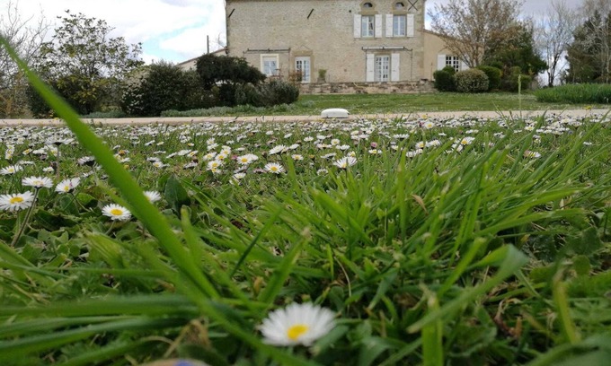 Auriac-sur-Vendinelle House | En Richard - Auriac-sur-Vendinelle
