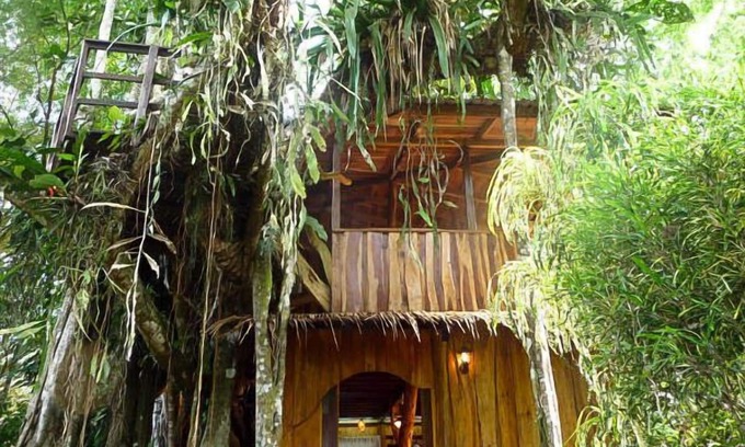Cahuita House | Enchanted Tree House experience with all the comforts!