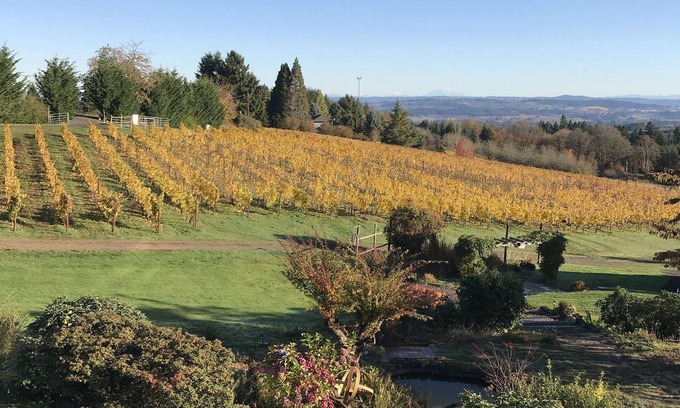 Newberg Apartment | Enjoy a weekend in Oregon's Amazing Wine Country