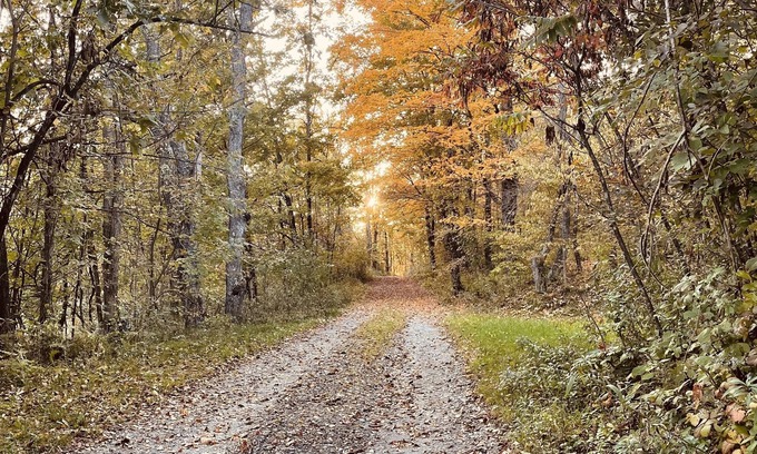 Ticonderoga Cabin | Escape from reality away to this beautiful off grid cabin located in Ticonderoga