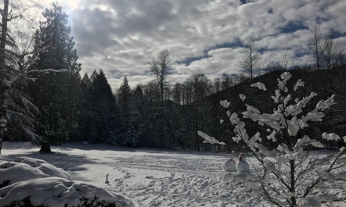 Welches House | Escape to Whispering Woods #454! - Mt. Hood Village, OR