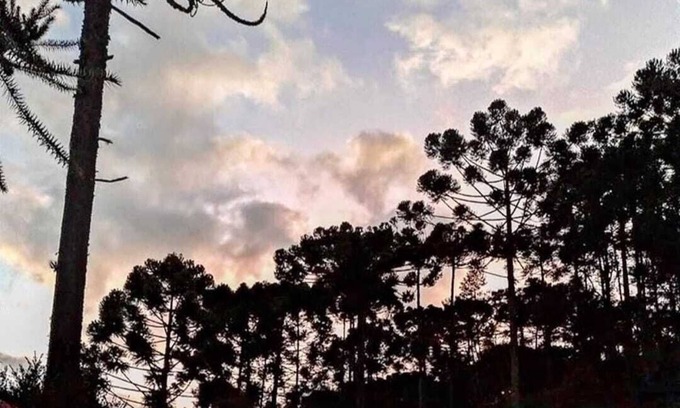 Goncalves House | Espaço VillaMinas Casa Amarela Guest House