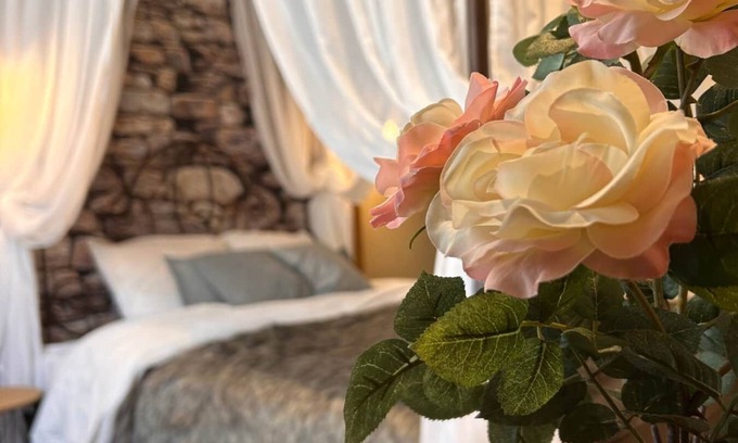 Mulhouse Apartment | Esprit Alsace: 70m2 de Charme au Coeur de Mulhouse