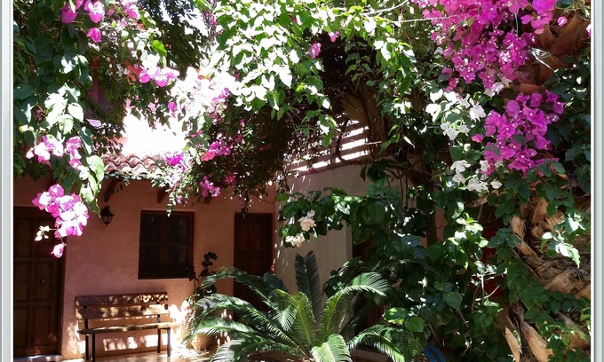 Palaiochora House | Exclusive Cottages in a quiet oliverove near the sea