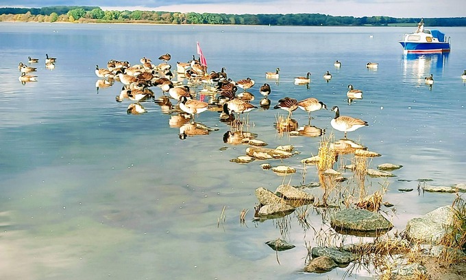 Devin House | Experience a wonderful time in the blue sun of Devin.