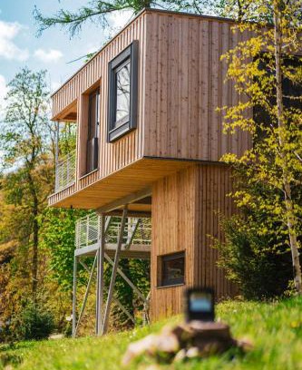 Ilsenburg House | Experience Nature In A Loft At Treetop Height