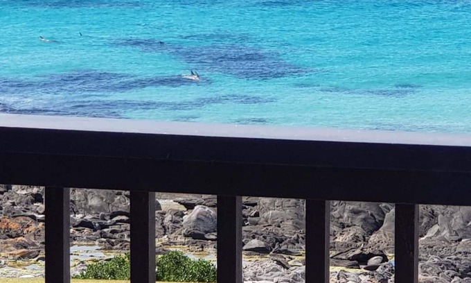 Dudley East House | Explore coastal luxury at On The Rocks