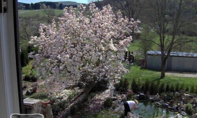 Nohfelden Apartment | Family-friendly * accommodation; 3 Bedrooms