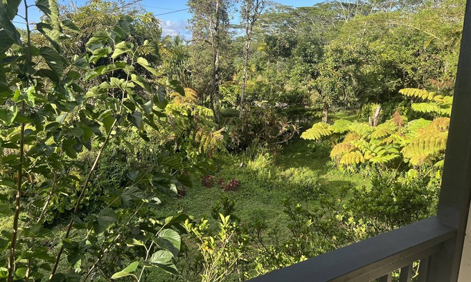 Keaau House | Family friendly, centrally located 2lvl home with epic furniture and fruit trees