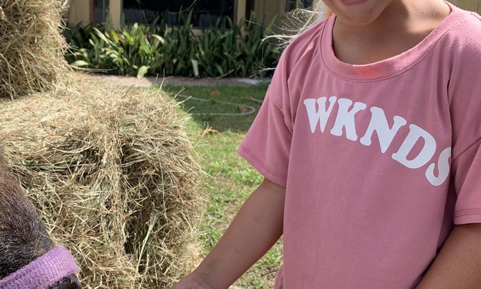 Tropic House | FAMILY FUN DISNEY HOME NEAR MELBOURNE AIRPORT