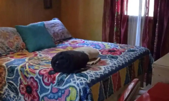 Costa Bela Apartment | Fato Marrok