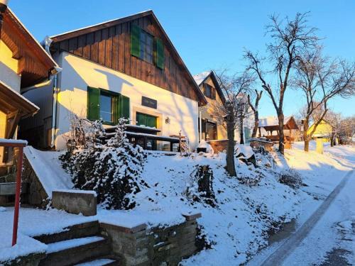 Mecseknadasd House | Felix Pince